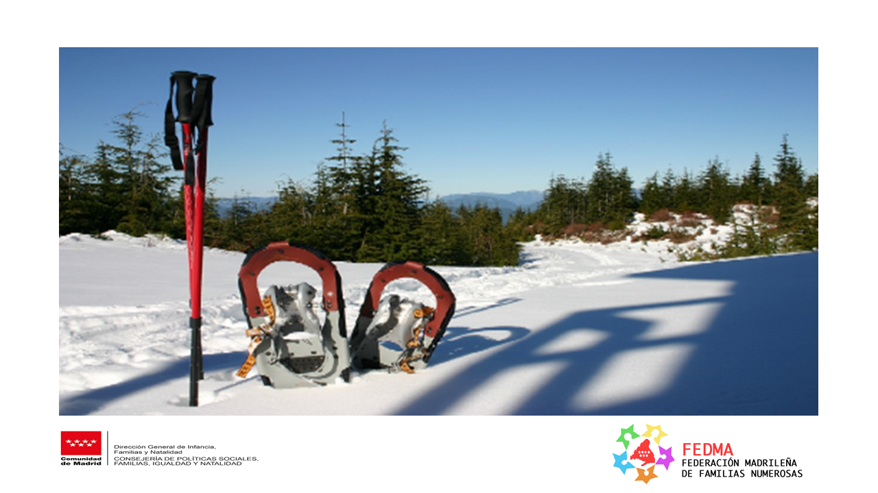 Excursión con Raquetas de Nieve en - Madrileña de Numerosas